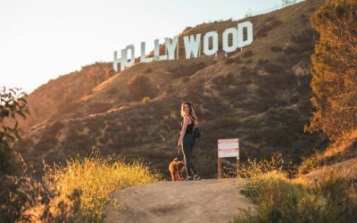 4 Best Things to do in Los Angeles during a Pandemic